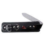 Ankle Straps - Image 2
